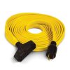 Generator Parts * | Champion Power Equipment 25 Ft. 30 Amp 125-Volt Fan-Style Flat Generator Extension Cord