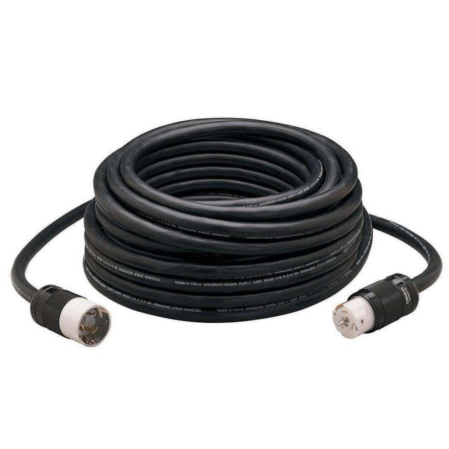 Generator Parts * | Southwire 50 Ft. 6/3 And 8/1 Seow 50-Amp (California Standard) Power Distribution Heavy-Duty Twist-Lock Generator Extension Cord